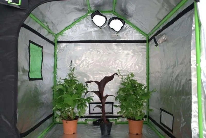 Green-Qube V: GQ1530L – 1.5m x 3m x 2.2m