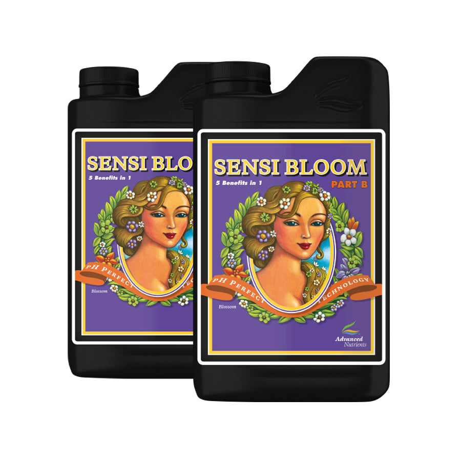 PH SENSITIVE POINT BOOSTER PAD サミュ AKINA サミュ PH SENSITIVE