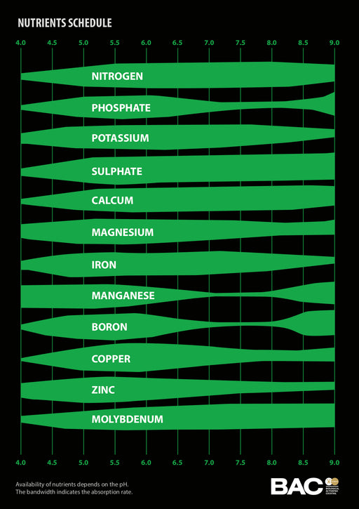 Nutrient uptake by pH