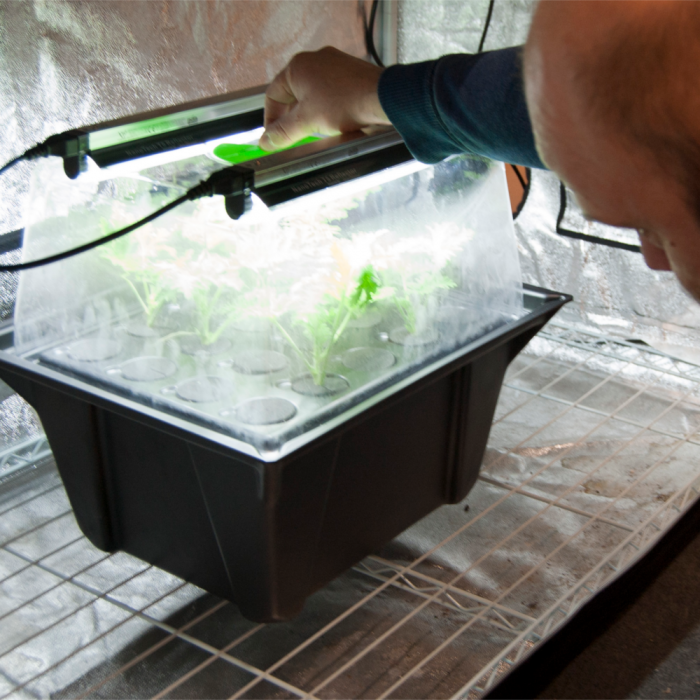 X-Stream 12 Site Aeroponic Propagator